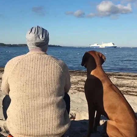 Haus Schwalbennest - Whg *