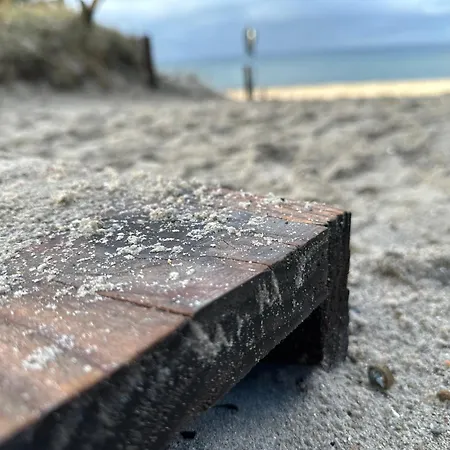 Haus Schwalbennest - Whg Apartment