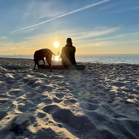 Apartment Haus Schwalbennest - Whg *