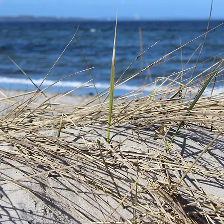 Haus Schwalbennest - Whg Apartment